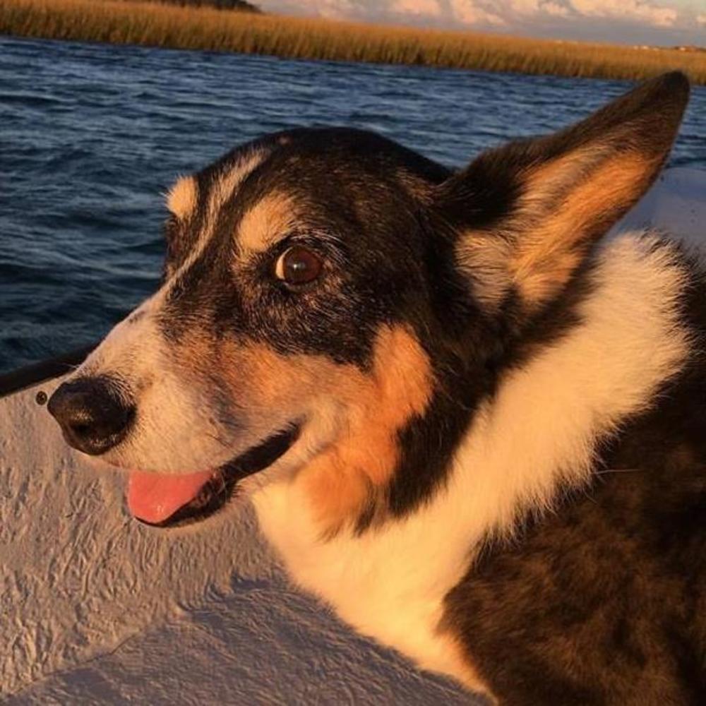 Meet your Posher, Lisa